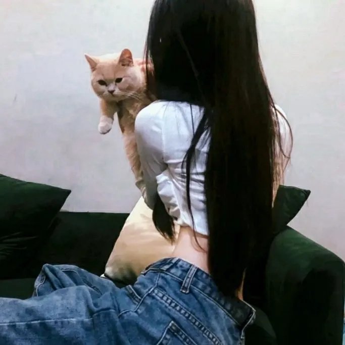 最后的轰炸